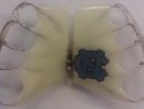 North Carolina Retainer